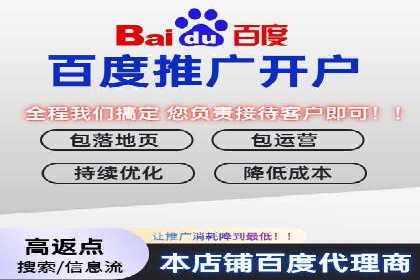 百度优化推广策略解析与应用案例