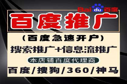 案例分析：SEM优化助力电商销量增长